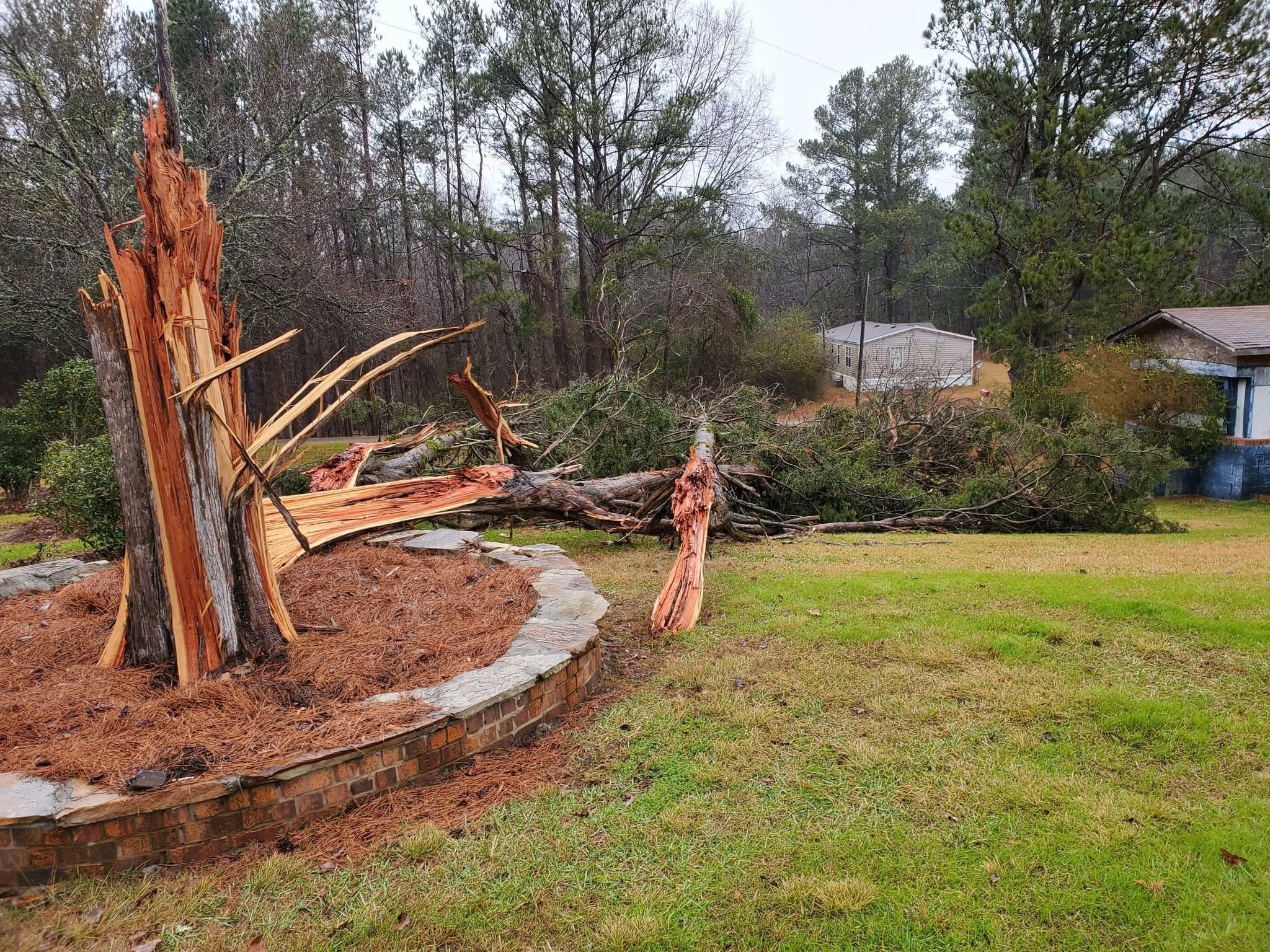 Storm Cleanup