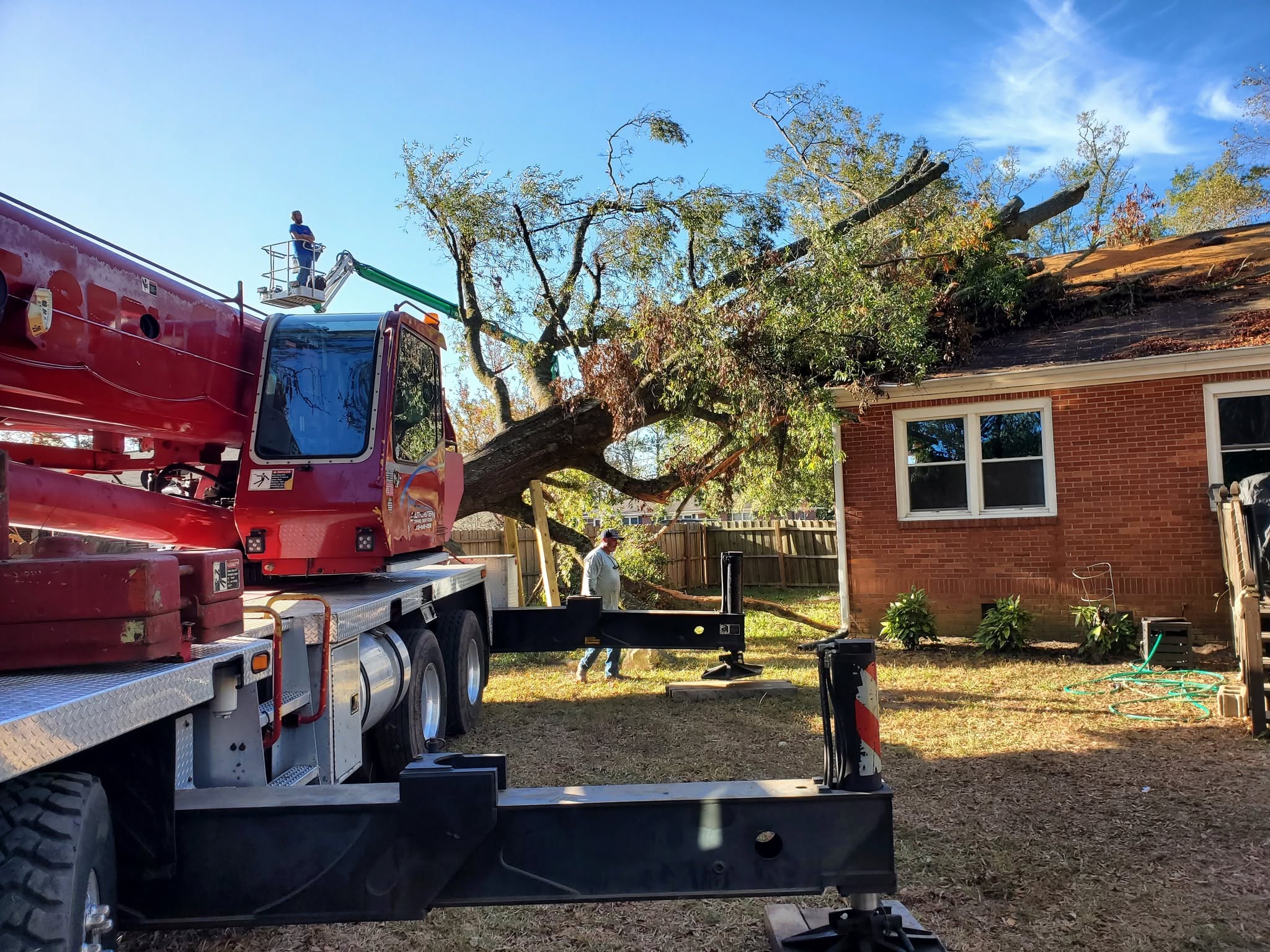 A&D Tree Services